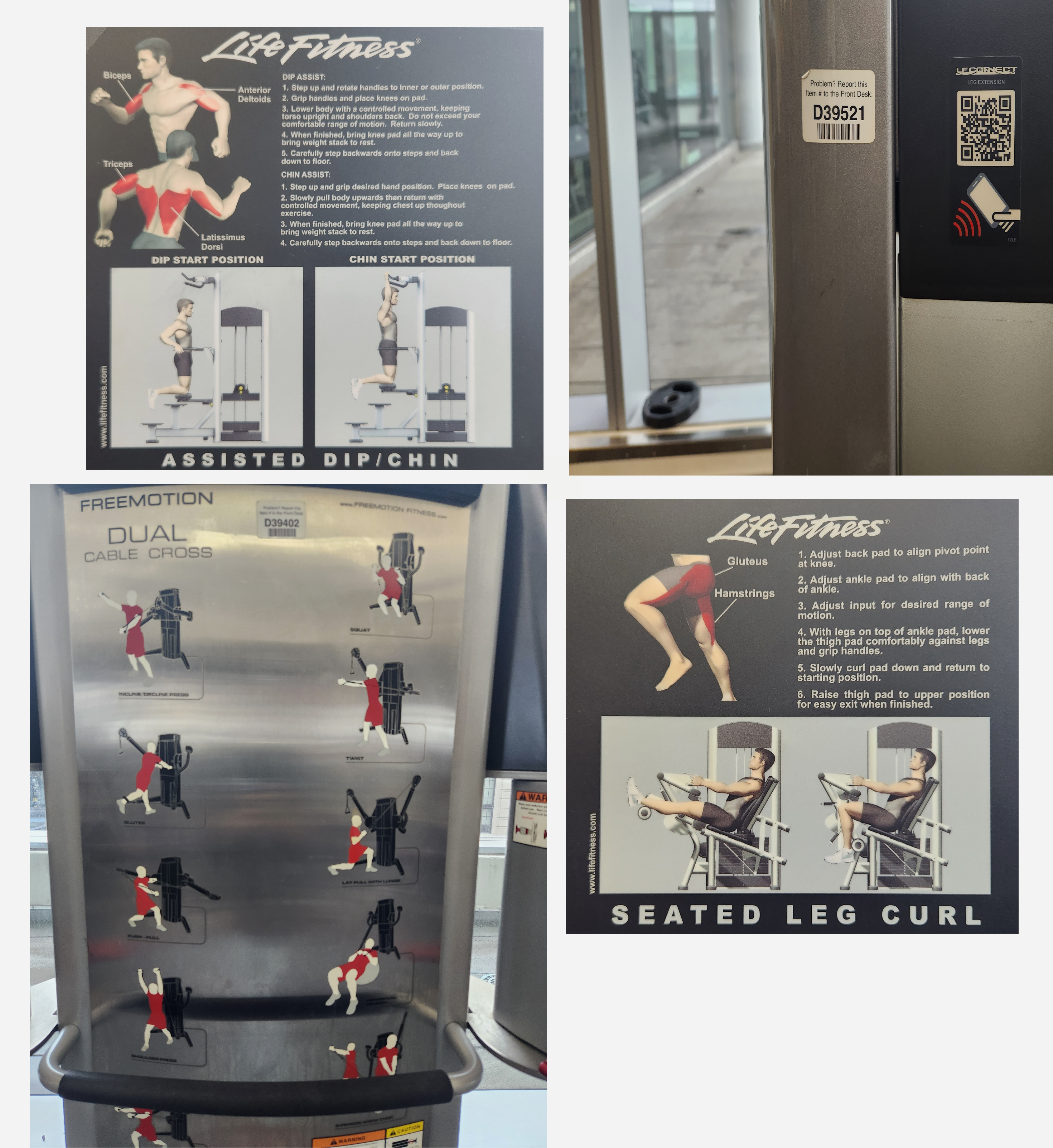 explanation of exercise labels